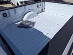 2025 Ford F-250 Regular Cab 4x4 Pickup for sale #J250649 - photo 8