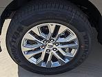 New 2025 Ford F-150 XLT SuperCrew Cab for sale #J251197 - photo 12