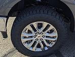 New 2025 Ford F-150 XLT SuperCrew Cab for sale #J251198 - photo 7