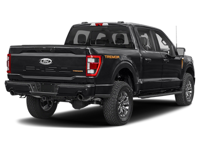 Used 2022 Ford F-150 Tremor SuperCrew Cab for sale #J251360A - photo 2