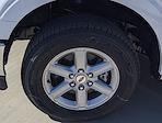 2025 Ford F-150 SuperCrew Cab RWD Pickup for sale #J251386 - photo 7