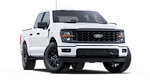2025 Ford F-150 SuperCrew Cab 4x2 Pickup for sale #JX250300 - photo 15