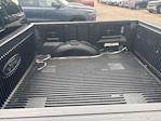 2015 Ford F-150 SuperCrew Cab 4x2 Pickup for sale #62508XR - photo 13