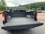 2023 Ram 1500 Crew Cab 4x2 Pickup for sale #62837P - photo 14
