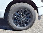 2024 Ford F-150 SuperCrew Cab 4x4 Pickup for sale #62871XP - photo 8