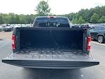 2020 Ford F-150 SuperCrew Cab 4x2 Pickup for sale #62888P - photo 13