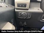 2018 Ford F-250 Crew Cab 4WD Pickup for sale #63303M - photo 10