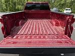 2024 Chevrolet Silverado 3500 Crew Cab 4x4 Pickup for sale #T231232A - photo 25