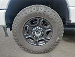 2024 Ford F-350 Regular Cab SRW 4WD Pickup for sale #T252475A - photo 7