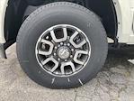 New 2024 Ram 2500 Longhorn Crew Cab 4x4 Pickup for sale #A4T278635 - photo 6