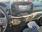 2023 Ford F-150 Regular Cab 4WD Pickup for sale #A10926P - photo 8