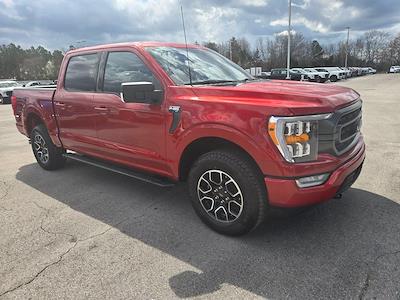 Used 2023 Ford F-150 - photo 1