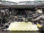 New 2025 Ford F-150 XL Regular Cab 4WD Pickup for sale #25T1755 - photo 17
