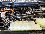 2024 Ford F-150 SuperCrew Cab 4x4 Pickup for sale #P7543 - photo 29