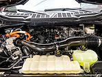 2024 Ford F-150 SuperCrew Cab 4x4 Pickup for sale #P7660 - photo 19
