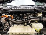 2024 Ford F-150 SuperCrew Cab 4x4 Pickup for sale #P7676 - photo 27