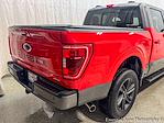 2023 Ford F-150 SuperCrew Cab 4WD Pickup for sale #P7874 - photo 8