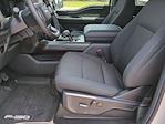 New 2024 Ford F-150 XLT SuperCrew Cab 4x4 Pickup for sale #RKF27718 - photo 16
