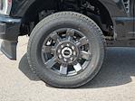 2025 Ford F-350 Crew Cab SRW 4x4 Pickup for sale #SEC44426 - photo 14
