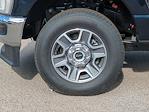 New 2025 Ford F-250 XLT Regular Cab 4WD Pickup for sale #SED80042 - photo 11