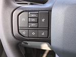 New 2025 Ford F-250 XLT Regular Cab 4WD Pickup for sale #SED80042 - photo 19