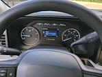 New 2025 Ford F-250 XLT Regular Cab 4WD Pickup for sale #SED80042 - photo 28