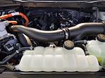 2025 Ford F-150 SuperCrew Cab 4x4 Pickup for sale #SFA29479 - photo 15