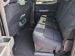 New 2025 Ford F-150 XLT SuperCrew Cab 4x4 Pickup for sale #SFA58256 - photo 19