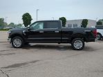 2025 Ford F-150 SuperCrew Cab 4x4 Pickup for sale #SFB31558 - photo 6