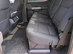 2025 Ford F-150 SuperCrew Cab 4x4 Pickup for sale #SFB44913 - photo 18