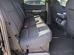 New 2025 Ford F-150 XLT SuperCrew Cab 4x4 Pickup for sale #SFB48826 - photo 20