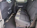 New 2025 Ford F-150 XLT SuperCrew Cab 4x4 Pickup for sale #SFB66324 - photo 19