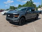New 2025 Ford F-150 XLT SuperCrew Cab 4x4 Pickup for sale #SFB66324 - photo 3