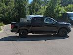 New 2025 Ford F-150 XLT SuperCrew Cab 4x4 Pickup for sale #SFB66669 - photo 12