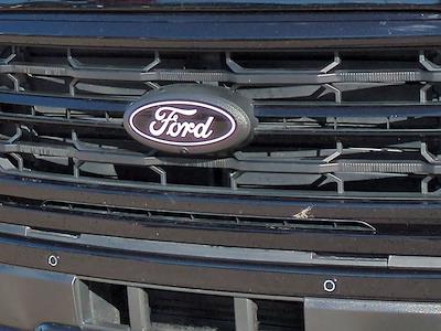 New 2025 Ford F-150 - photo 1
