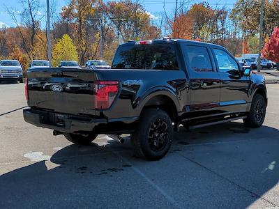 New 2025 Ford F-150 - photo 1