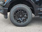 New 2025 Ford F-150 XLT SuperCrew Cab 4x4 Pickup for sale #SFB66790 - photo 14