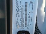 New 2025 Ford F-150 XLT SuperCrew Cab 4WD Pickup for sale #SFB91247 - photo 35