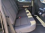 New 2025 Ford F-150 STX SuperCrew Cab 4x4 Pickup for sale #SFC00044 - photo 20