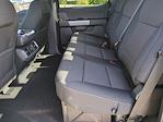 New 2025 Ford F-150 XLT SuperCrew Cab 4WD Pickup for sale #SFC44155 - photo 20