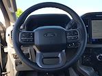 2025 Ford F-150 SuperCrew Cab 4x4 Pickup for sale #SKD30143 - photo 22