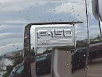 2025 Ford F-150 SuperCrew Cab 4x4 Pickup for sale #SKE38354 - photo 13