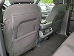 New 2025 Ford F-150 XLT SuperCrew Cab 4x4 Pickup for sale #SKE43310 - photo 18