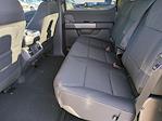 New 2025 Ford F-150 XLT SuperCrew Cab 4x4 Pickup for sale #SKF48341 - photo 19
