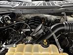 2021 Ford F-150 SuperCrew Cab 4WD Pickup for sale #618727 - photo 19