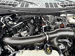 2024 Ford F-150 SuperCrew Cab 4WD Pickup for sale #619291 - photo 4