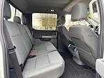 2024 Ford F-150 SuperCrew Cab 4WD Pickup for sale #619291 - photo 8