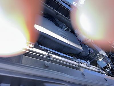 2024 Chevrolet Silverado 1500 Crew Cab 4WD Pickup for sale #619319 - photo 1