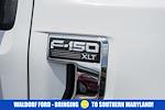 2024 Ford F-150 SuperCrew Cab 4WD Pickup for sale #WB41501A - photo 16