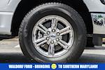 2024 Ford F-150 SuperCrew Cab 4WD Pickup for sale #WB41501A - photo 19